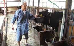 Mối lo thịt bò Nhật nhiễm xạ