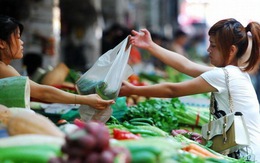 WB cảnh báo giá lương thực thế giới sắp đạt kỷ lục