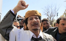 Cuộc tìm kiếm Gaddafi bắt đầu