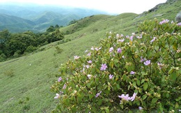 Trên cao nguyên Đồng Cao