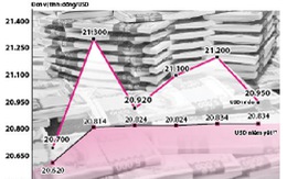 Tái diễn USD "hai giá"