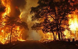 Hỏa hoạn thiêu rụi 1.000 căn nhà ở Texas