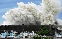 Bão Roke tấn công Nhà máy Fukushima