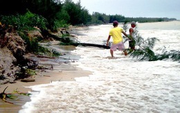 Bờ biển Thừa Thiên - Huế sạt lở hàng chục km
