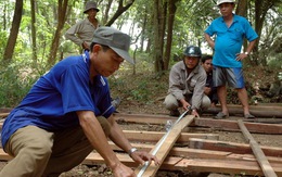 Đồng Tháp: dân "chạy" sạt lở đang sợ dông lốc