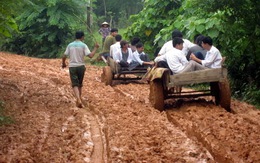 Con đường "trâu đi cũng đọa"