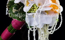 Xinh xinh hoa cưới