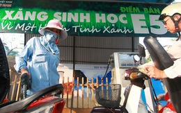 Xăng sinh học ế