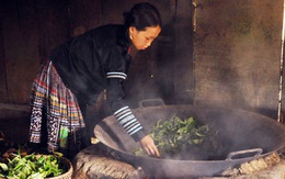 Con đường trà Việt - Kỳ cuối: "Đạo" trong trà Việt