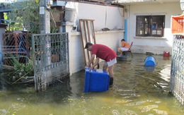 Bangkok những ngày nước rút