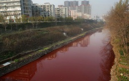 Trung Quốc: nước sông thành màu máu