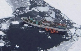 Chạy đua cứu tàu Nga bị thủng gần Nam cực