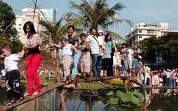 Giữ sức vui xuân