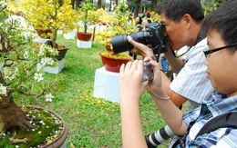 Đông đảo khách tham quan hội hoa xuân Tao Đàn