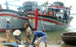 Phú Yên: cửa biển bị bồi lấp, tàu thuyền không thể ra khơi