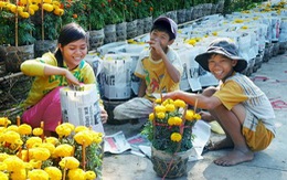 Xuân về mang theo những nụ cười