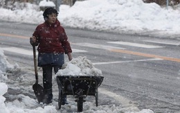 Nhật Bản: tuyết dày đặc, 53 người thiệt mạng