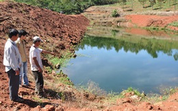 Trang trại chăn nuôi gây ô nhiễm