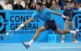 Del Potro và David Ferrer vô địch tuần