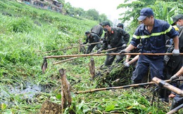 Hơi thở thanh niên trên thành phố trẻ