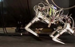 Robot 4 chân, chạy 29km/giờ