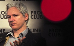 Nhà sáng lập WikiLeaks sẽ tranh ghế Thượng viện Úc