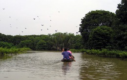 Một vòng ven biển Bạc Liêu