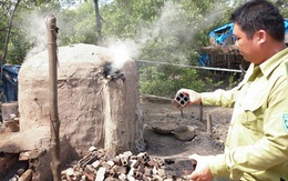 Lò than bủa vây vườn quốc gia Mũi Cà Mau