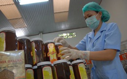 Mỹ dựng "hàng rào kỹ thuật", mật ong Việt gặp khó