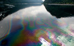 Tràn dầu gây ô nhiễm Bắc cực