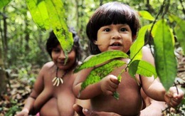 Một bộ lạc đứng trước nguy cơ tuyệt chủng