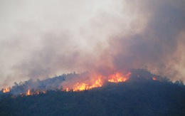 Cục Kiểm lâm kiểm tra vụ cháy rừng Nam Hải Vân