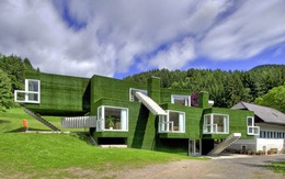 Dinh thự xanh tại Áo