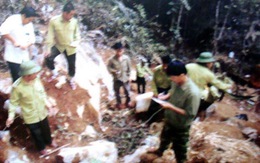Phong Nha: xác định 11 người đốn 3 cây sưa