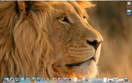 Apple OS X Lion đã có bản nâng cấp 10.7.4