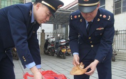 Trung Quốc điều tra tai heo giả làm từ hóa chất