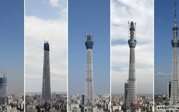 Nhật khai trương tháp truyền hình cao nhất thế giới