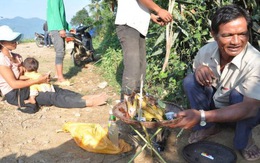 Chạy đua với tử thần