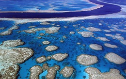 Úc xây công viên hải dương lớn nhất thế giới