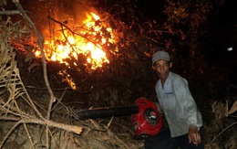 Cứu cháy rừng trong đêm tại đèo Hố Chùa