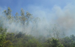 Một ngày xảy ra 6 vụ cháy rừng