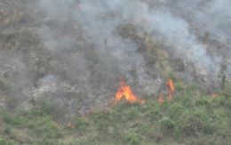 Đà Nẵng: cháy hơn 15ha rừng do đốt thực bì