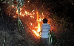 Cháy rừng liên tiếp ở Đà Nẵng