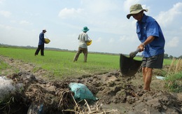 Tây Ninh trả 1.150ha đất "treo" cho dân