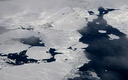 Biển băng Bắc cực thu hẹp mức kỷ lục