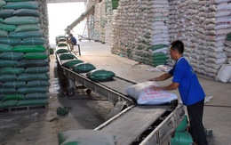 Trung Quốc tăng mua gạo Việt Nam