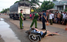 Tránh vũng nước bị xe tải cán chết