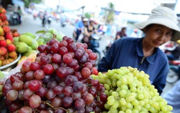 Bất an với nho, lựu... Trung Quốc