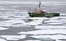 Băng Bắc cực biến mất vào cuối thập niên này?