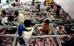 Trung Quốc: cầm rìu chém 16 em trong nhà trẻ